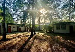 hundebett camping Outdoor-Hundebett erhht | Khlendes Camping-Bett