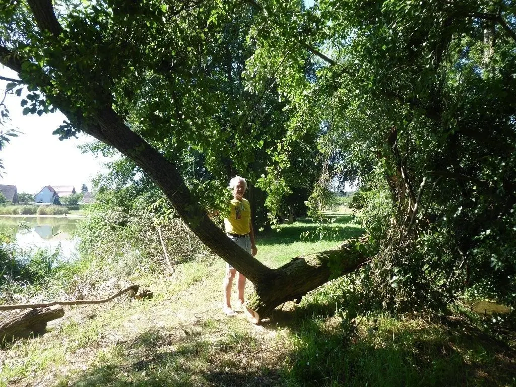 Roland Haag bemerkte den ungestürzten Baum als Erster und kümmerte sich um ein schnelles Wiederdurchkommen.