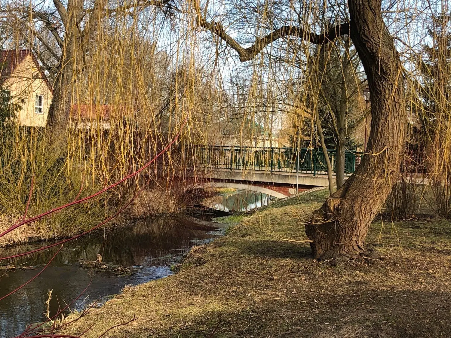 Und noch einmal die Bäke