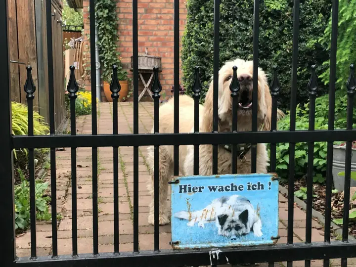 Hundegebell – Familie hofft auf neues Urteil im Nachbarschaftsstreit