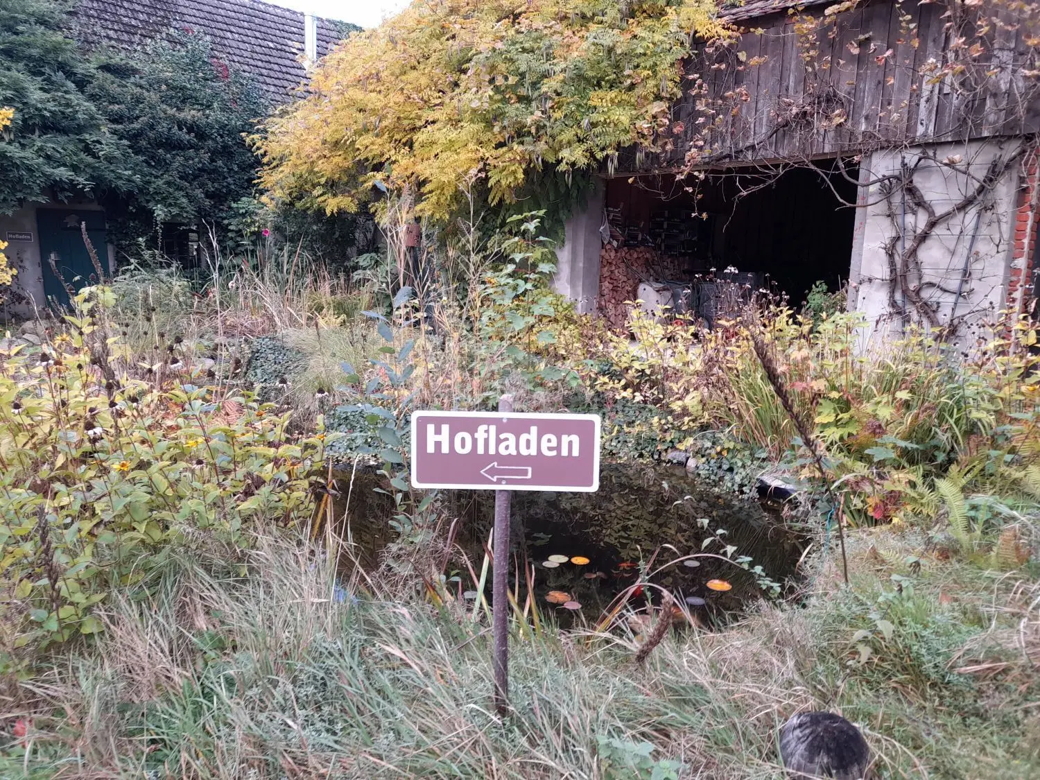 Im Innenhof des Wohnhauses von Vivian Böllersen und ihrer Familie weist mitten im wilden Garten ein Schild den Weg zum Hofladen.