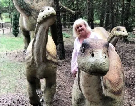 200 Millionen Jahre zurück: Eine Vulcanodon-Mutter mit ihren drei Babies im Dinosaurier-­Park von Nowiny Wielkie. Der Park wird von Malgorzata Kuchnio und ihrem Mann Krzysztof betrieben. Nach der Öffnung der polnischen Grenze sind auch im Nachbarland wieder zahlreiche Ausflugsziele erreichbar.