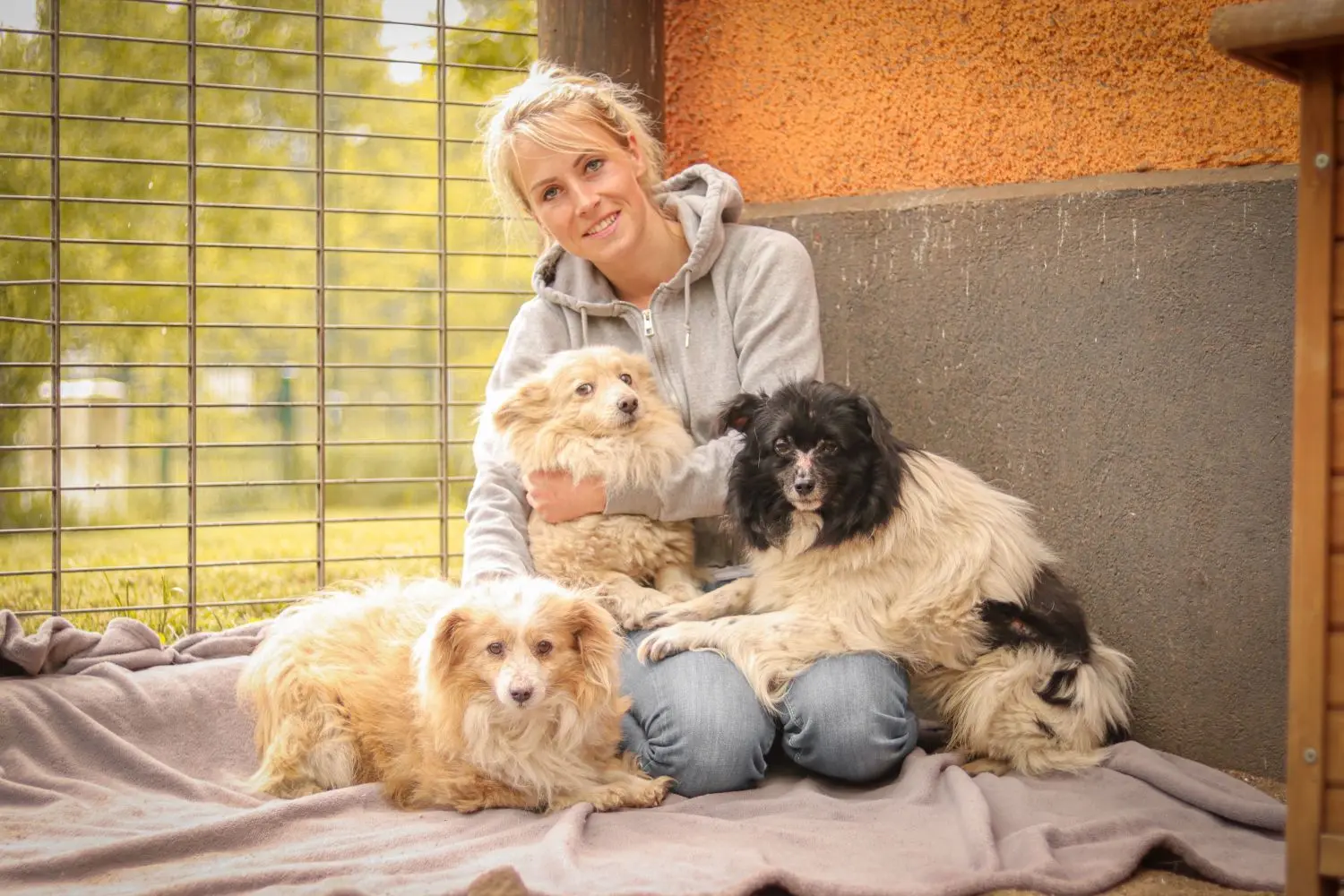Tierheim-Chefin Jana Feister mit drei in Not geratenen Spitzmischlingen. Die noch scheuen Hunde wird sie nach einer Eingewöhnungsphase vermitteln.
