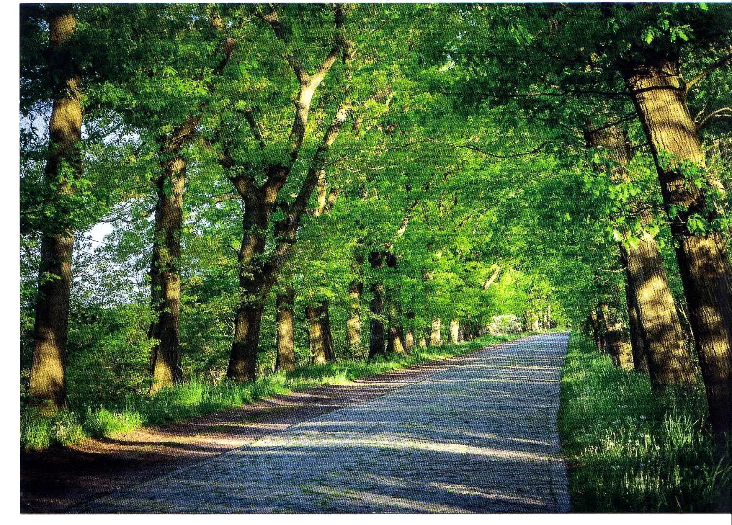 Am Flatower Weg in Wustrau hat Martina Pape dieses Bild geschossen.⇥