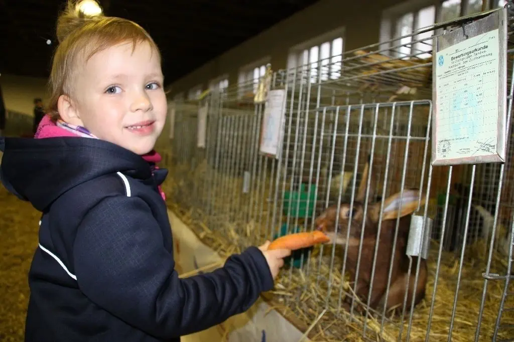 Tierlieb: Besucherin Josie (4) füttert ein Häschen. Ihre Familie kommt jedes Jahr gern zu den Tierausstellungen.