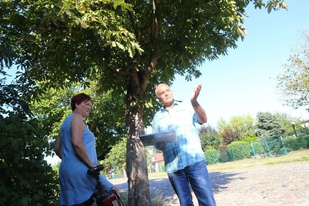 Oben lauert die Gefahr: Anwohnerin Steffi Schulz und Manfred Arndt betrachten die durch Bäume verlaufenden Freileitungen in der Bruchmühler Straße. Mittlerweile wurde mit einem V-Schnitt Platz für die Leitungen in die Bäume geschnitten.