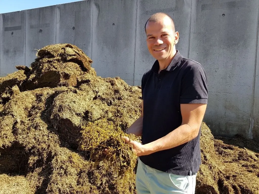 Geschäftsführer Stefan Rothe mit der Futterpflanze Luzerne: Diese bildet 1,50 Meter tiefe Wurzeln. Rothe: "Mit ihr können wir auch in Zeiten des Klimawandels sehr gut arbeiten."
