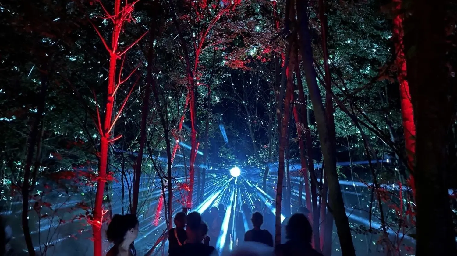 Mystisch: Beim diesjährige Inselleuchten in Marienwerder war vieles anders. Begeisterung riefen nicht nur Bands wie Jethro Tull hervor, sondern auch die Lichtinstallationen im Wald.