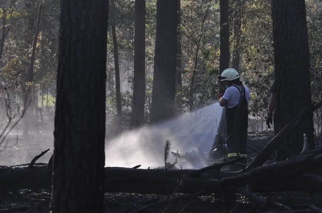 In Fürstenberg standen 1,5 Hektar Kiefernwald in Flammen.