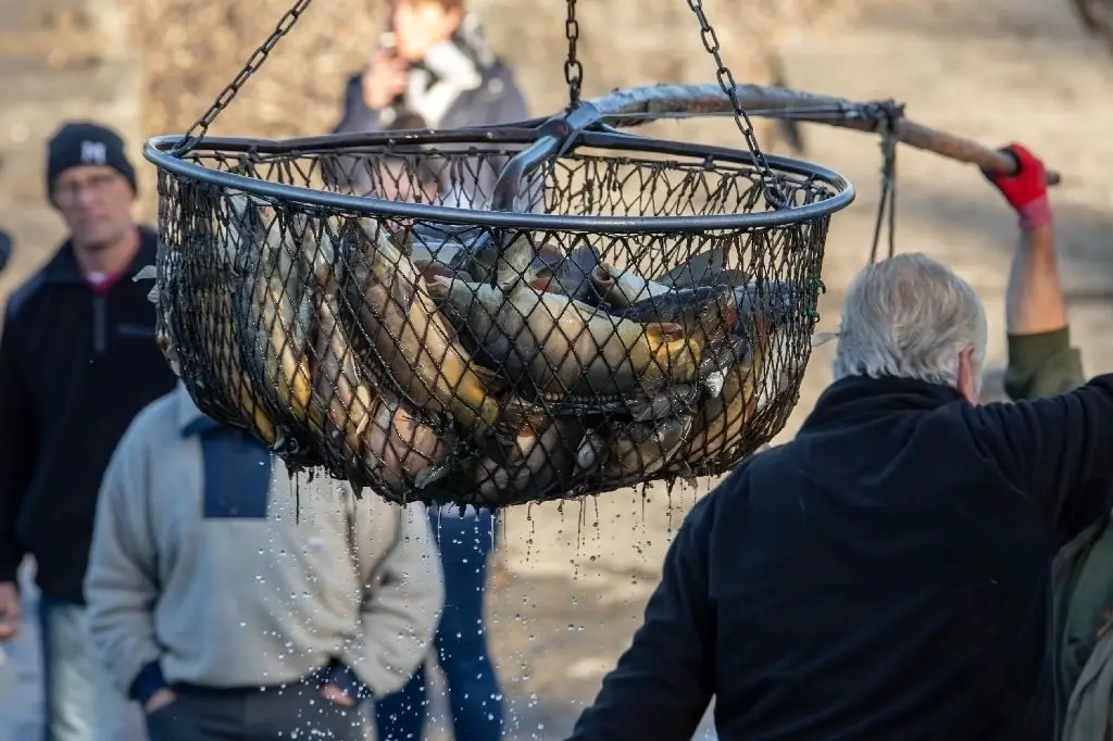 Naturerlebnis Großer Fischzug in der Blumberger Mühle moz.de