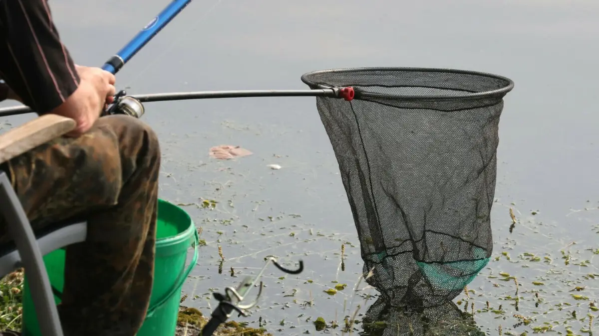 Ein Angler versucht sein Glück (Symbolbild). Doch das Fischsterben in der Oder verunsichert viele Angler, auch die am Oder-Spree-Kanal.
ARCHIV - 02.06.2018, Mecklenburg-Vorpommern, Schwerin: Ein Angler beim traditionellen «Angeln am Pfaffenteich». (Illustration zu dpa «Angler wollen Rückbau von Wasserkraftanlagen») Foto: Bernd Wüstneck/dpa +++ dpa-Bildfunk +++