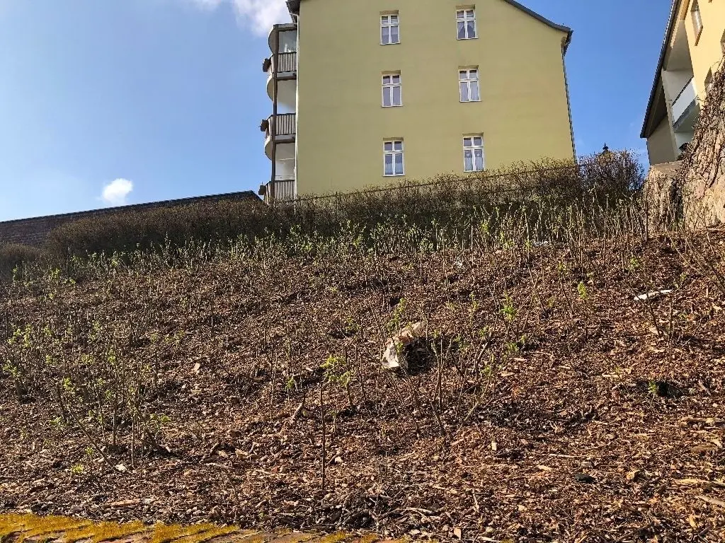 Auf den Spuren der jüdischen Vergangenheit Bad Freienwaldes mit Reinahrd Schmook. Neben der Judentreppe erinnert die Gedenkstätte an ehemaliger Stelle der Synagoge.