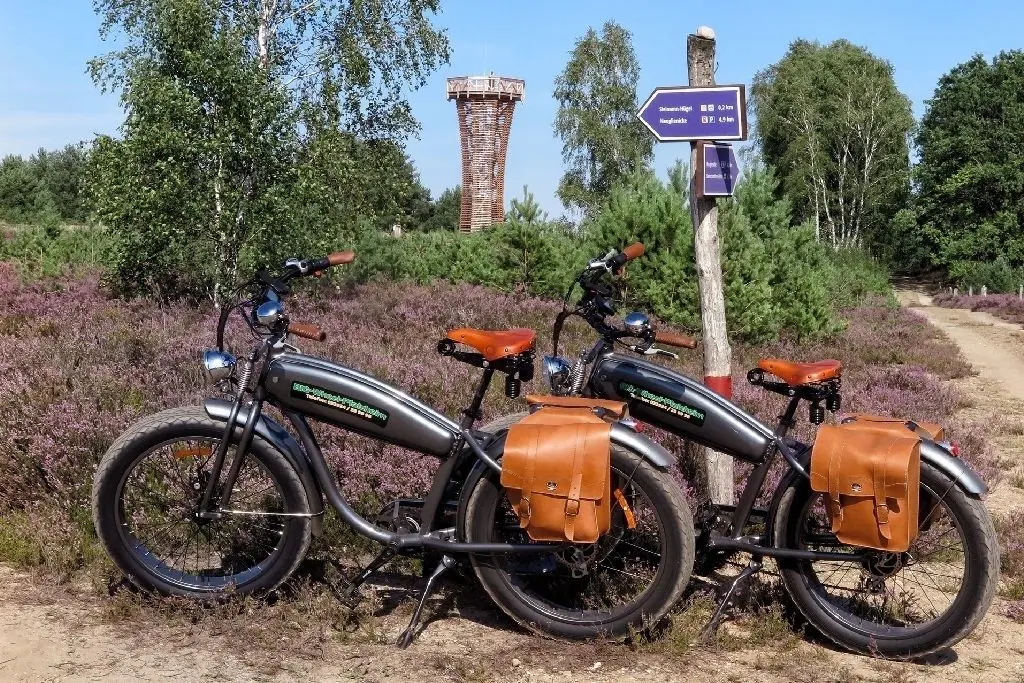 Gut ausgerüstet: Die Cruiser sind mit extra breiten Reifen, Elektromotor und Satteltaschen bestens für Heidetouren ausgestattet.