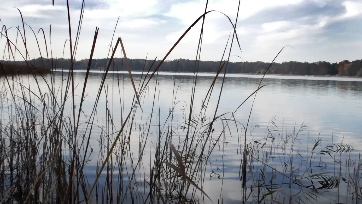 Ein betörend schöne Aussicht: der Wandlitzsee im November 2021
Wandlitzsee im November 2021