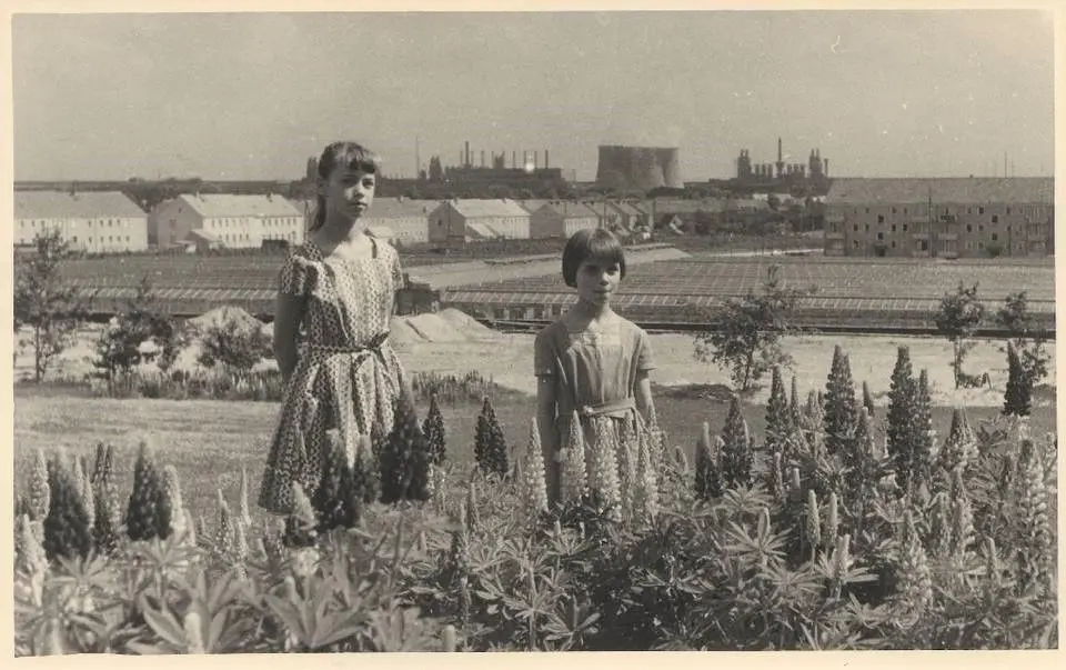 Blick auf Stadt und Werk: Barbara und Christina Weiß (l.) zog es in den 1960ern auf den Rosenhügel am Rande der Stadt. Damals sah man die Kühltürme und Hochöfen vom Eisenhüttenkombinat Ost und ein Meer aus Frühbeetkästen und Gewächshäusern. Die Gärtnerei ist Geschichte. Mehr Häuser sind gebaut worden, die Bäume gewachsen. Auch die Industrie­silhouette hat sich verändert.