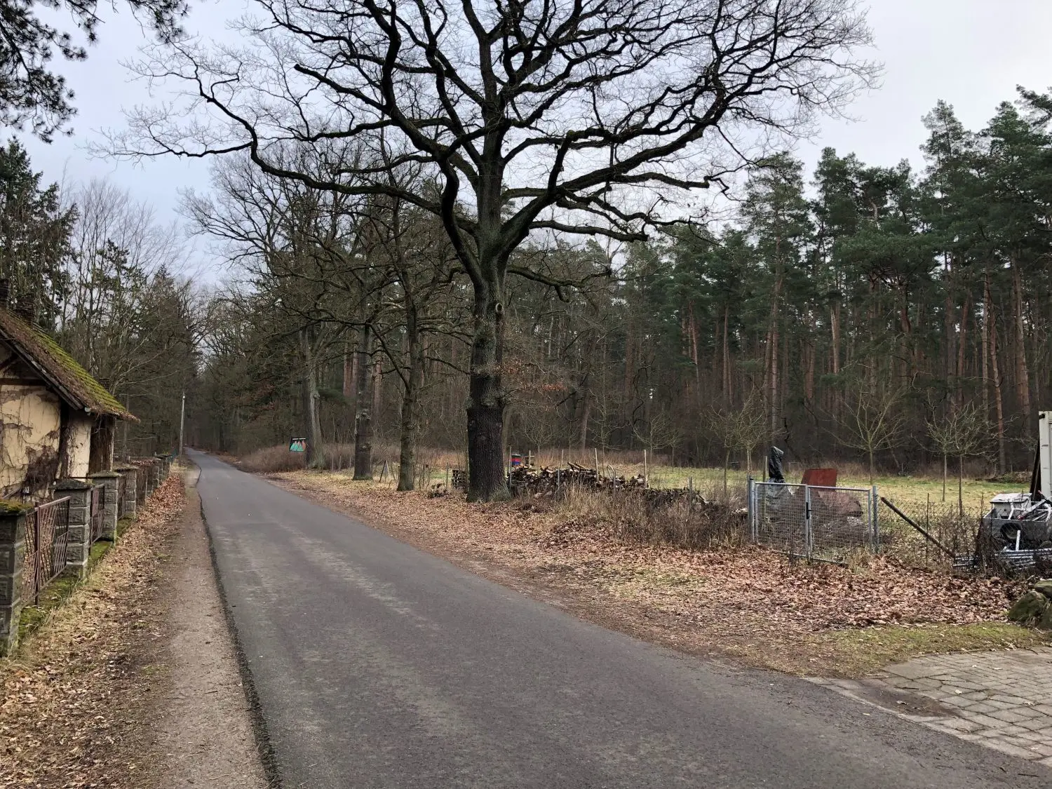 Entlang dieser Straße könnte der Neubau entstehen und hinter einer Hecke versteckt werden.