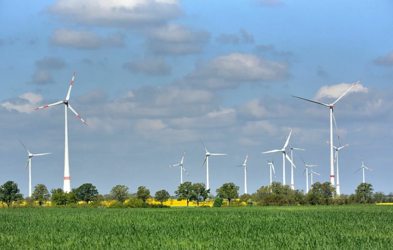Windräder im Barnim: Gemeinde Schorfheide diskutiert über ...