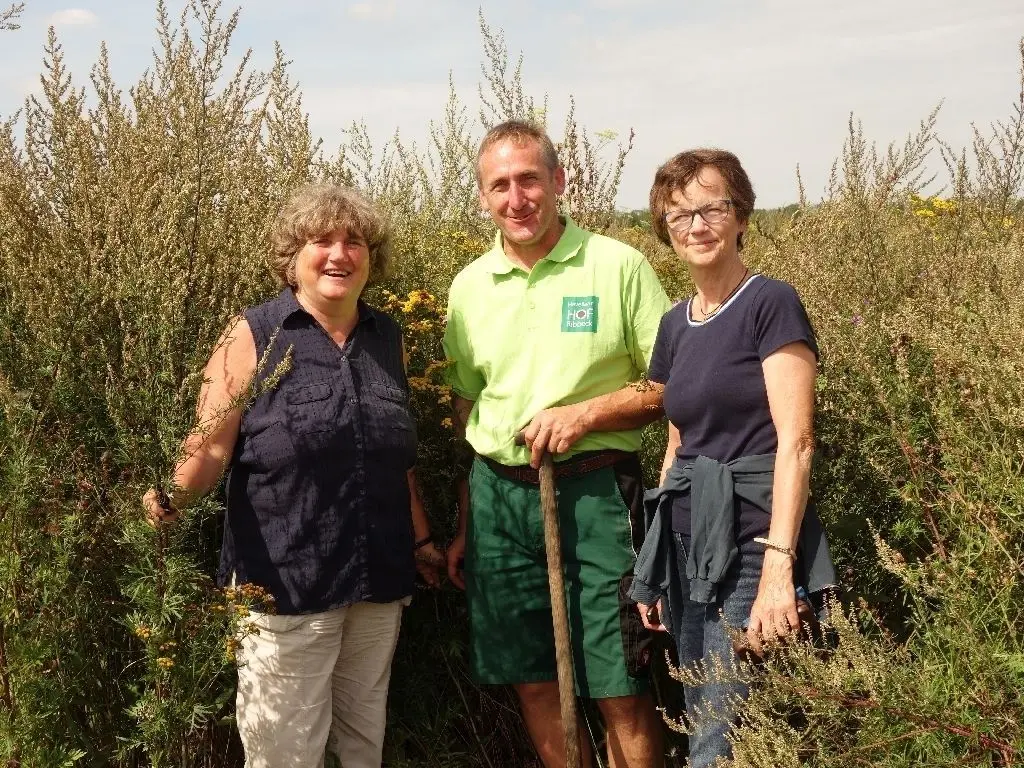 In diesem Blühstreifen kann man auch verloren gehen. Kirsten Tackmann, Peter Kaim und Anke Schwarzenberg im "Blüh-Dschungel" von Ribbeck.