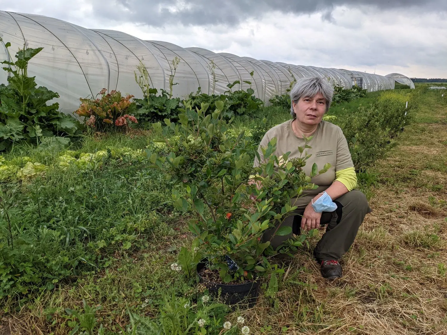 Nicht nur Tiere, sondern auch viele Pflanzen werden von Babette Hübner auf ihrem Hof in Biesenthal versorgt.