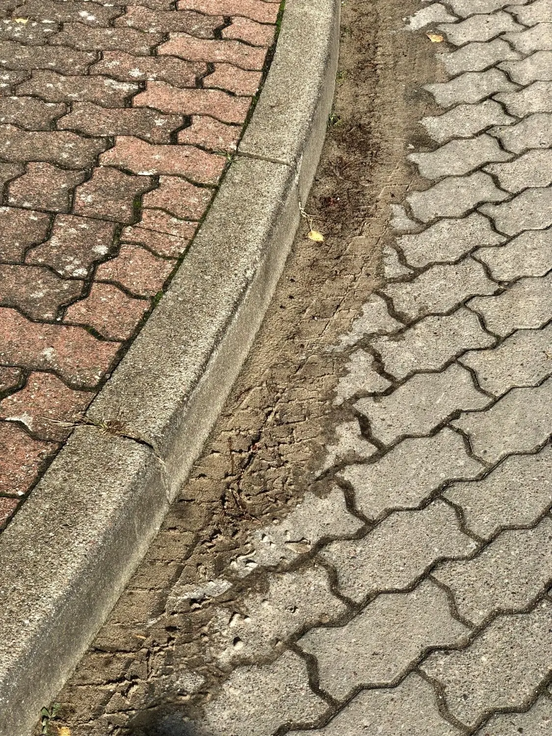 In der Kurve zum Adlerweg zeigen sich die deutlich Spuren von Felgen und Reifen auf den Bordsteinen. Dreiachsige Gelenkbusse haben Probleme, die Kurve zu bewältigen, so die Anwohner.