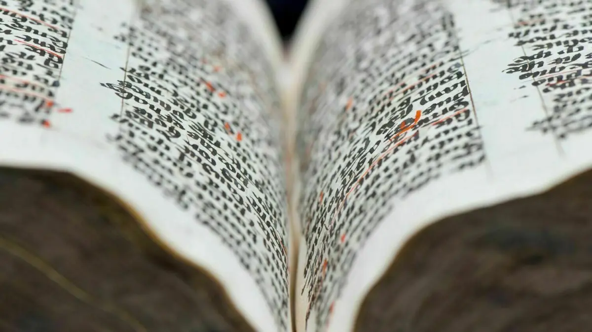 Wer alte Bücher besitzt und sie verkaufen will, sollte genau darauf achten, an wen er beim Verkauf gerät. Nicht selten stecken Betrüger dahinter, wie jetzt ein Mann aus Rheinsberg erfahren musste.
Im Depot der Stiftung Stift Neuzelle ist einer der drei Bände der Neuzeller Abschrift aus dem Jahr 1455 des Psalmenkommentars von Matthäus von Königsaal zu sehen (Leihgabe der Staatsbibliothek zu Berlin - Preußischer Kulturbesitz, Handschriftenabteilung). Psalmenkommentare, theologische Sammelschriften der Kirchenväter und die Benediktsregel, nach der auch die Zisterziensermönche seit Jahrhunderten leben, werden ab 22. Februar in der Sonderausstellung «Zisterzienser auf Papier und Pergament» im Kloster Neuzelle (Oder-Spree) gezeigt. Die historischen Dokumente aus dem 15. Jahrhundert sind handschriftlich auf Papier oder Pergament verfasst. Sie gelangten über viele Umwege vor etwa 190 Jahren in die Staatsbibliothek Berlin. +++ dpa-Bildfunk +++