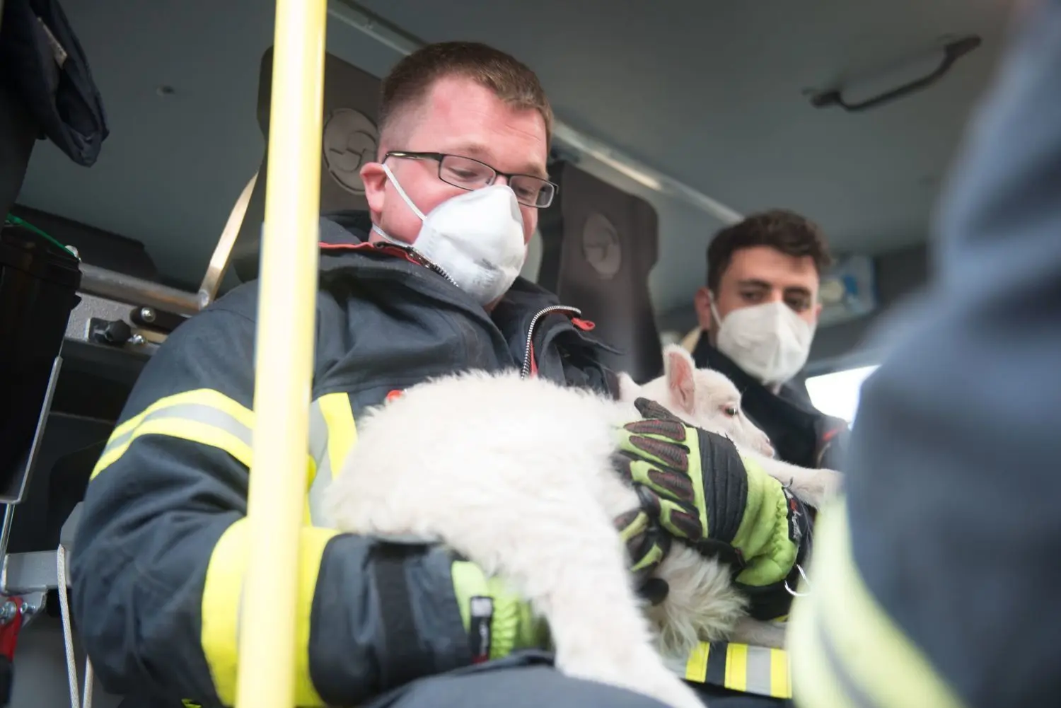In besten Händen: Die Lämmer waren bei den Einsatzkräften gut aufgehoben, später wurden sie auf einen Bauernhof gebracht.