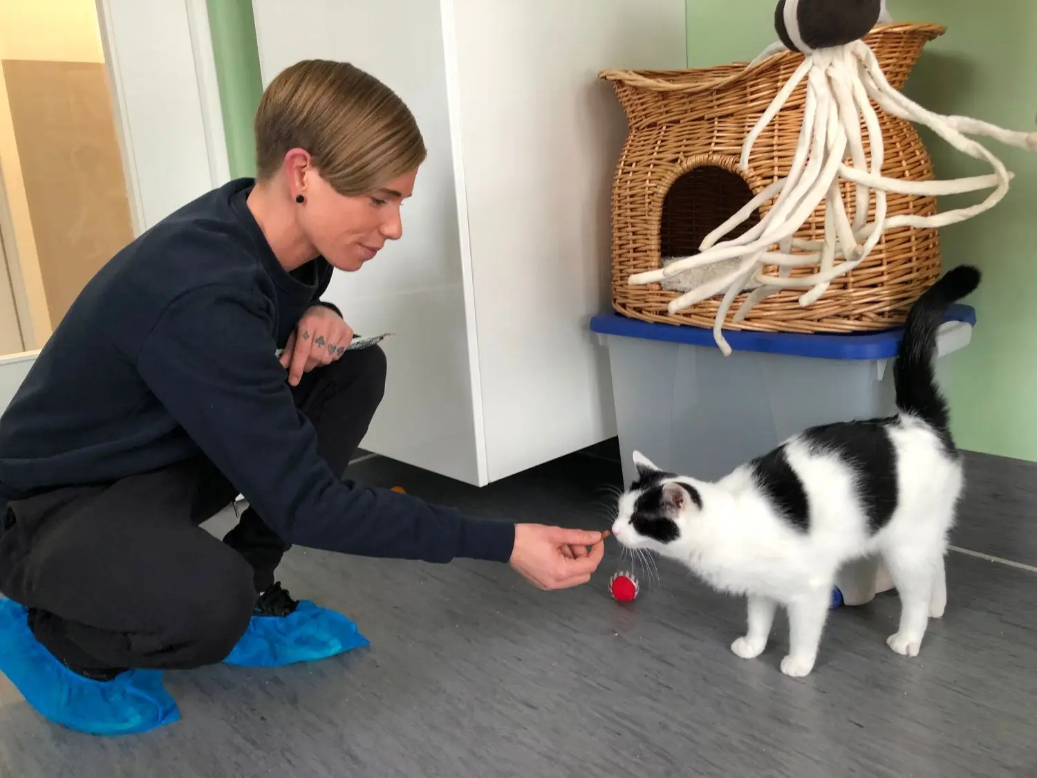 Locken mit Leckerli: Anne Kleinschmidt mit Kater Luke in der Quarantänestation der Katzenstation des Tierschutzvereins Strausberg, Rüdersdorf und Umgebung