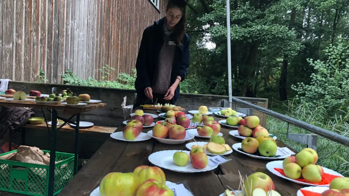 Nora Farnbacher von der Naturwacht bereitete die unterschiedlichen Apfelsorten vor - auch zum Verkosten.
Buckow Apfelfest mit Minister Axel Vogel