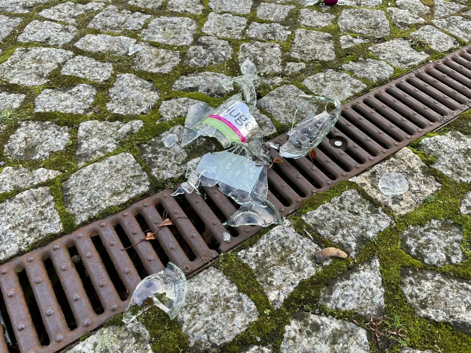 Gefahr für Hunde: Eine zerbrochene Sektflasche im hinteren Bereich des Gleises.