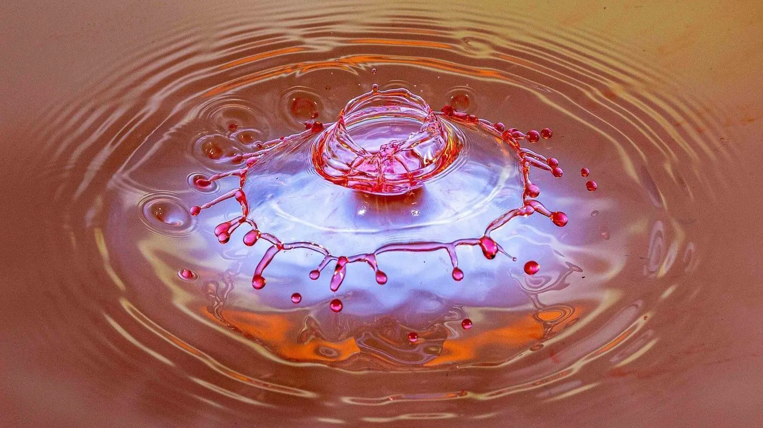 Eine Krone aus gefärbtem Wasser: Solche Aufnahmen sind nur mit der Highspeed-Fotografie möglich.