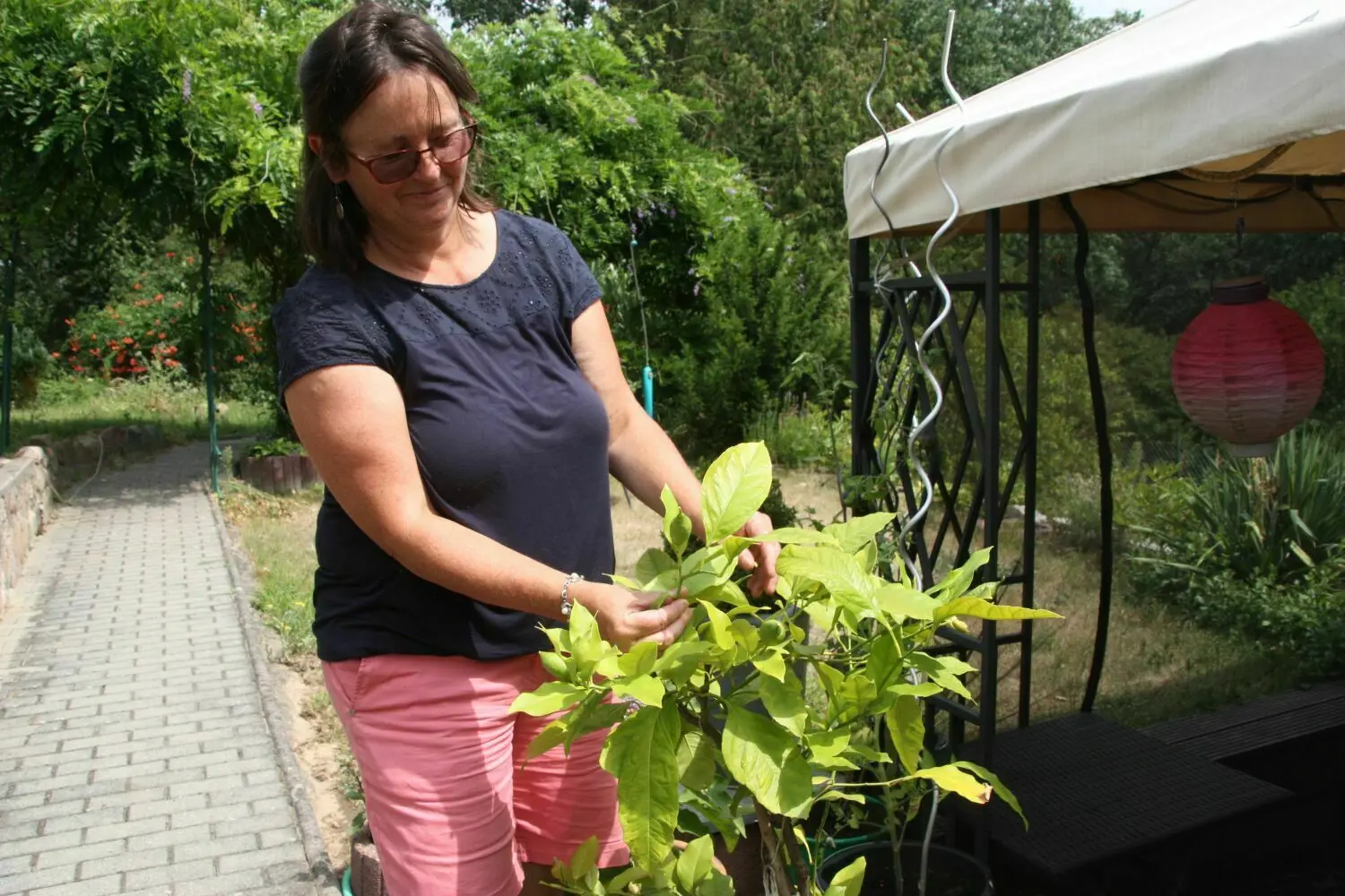 Naturnahe Gärten in Angermünde: Familie Lüdeking hat in Stolpe ein Grundstück am Hang in ein Naturparadies verwandelt. Petra Lüdeking zieht Auberginen und Zitronen in Töpfen.