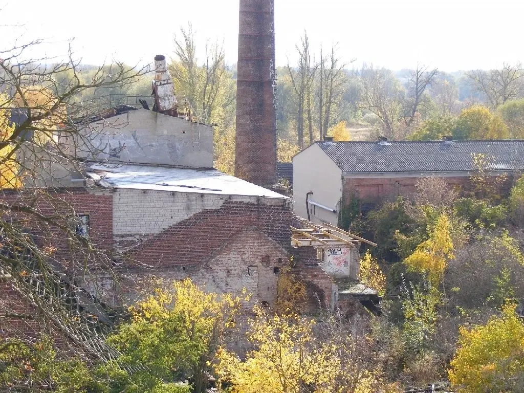 Die Stärkefabrik verfiel und bewuchs jahrelang.