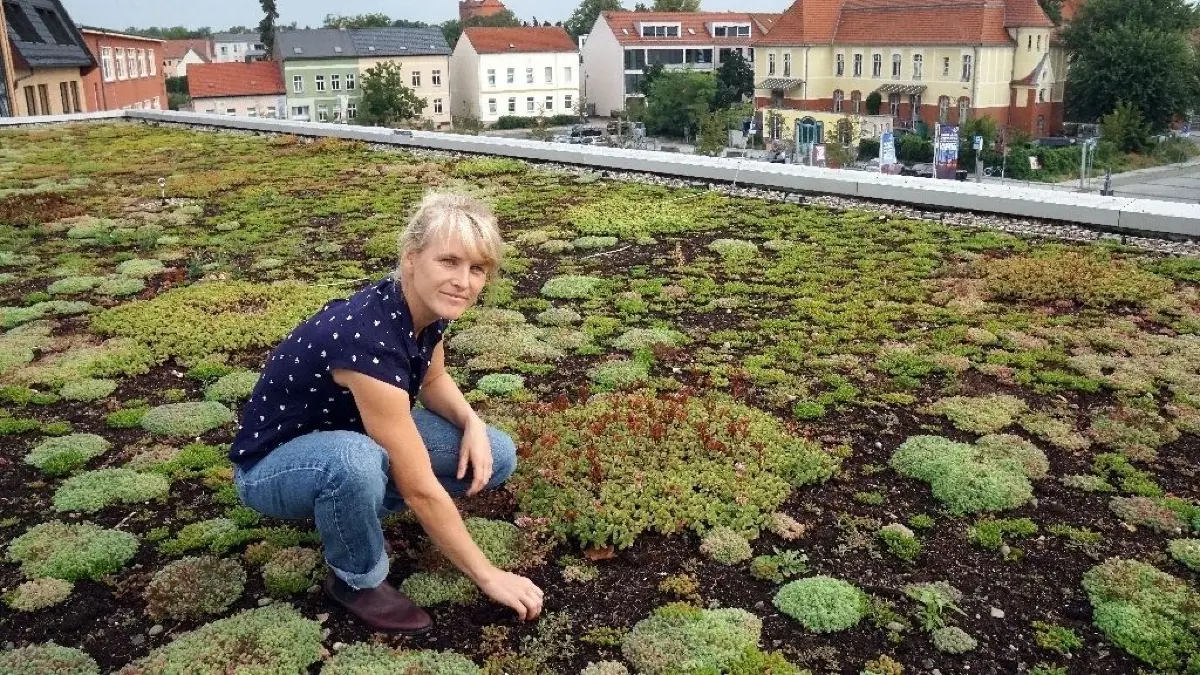 Kleine Oase über der Stadt: Unten auf dem Bahnhofsvorplatz staute sich Ende Juli das Regenwasser. Das Fahrrad-Parkhaus ist ein Beispiel für "Gute Praxis". Beplanzte Dächer können Feuchtigkeit speichern, doch eine einzelne Fläche hilft nicht viel.
Maren Michaelsen auf dem bepflanztes Dach vom Fahrradparkhaus am Bahnhof in Bernau. am 07.08.2019