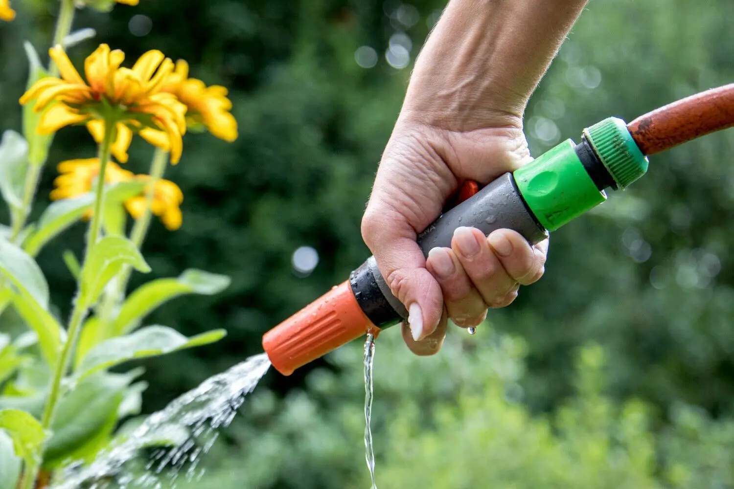 Ist es überhaupt noch zulässig, den eigenen Garten zu gießen? Der Wettbewerb ums Wasser ist längst entbrannt. (Symbolbild)