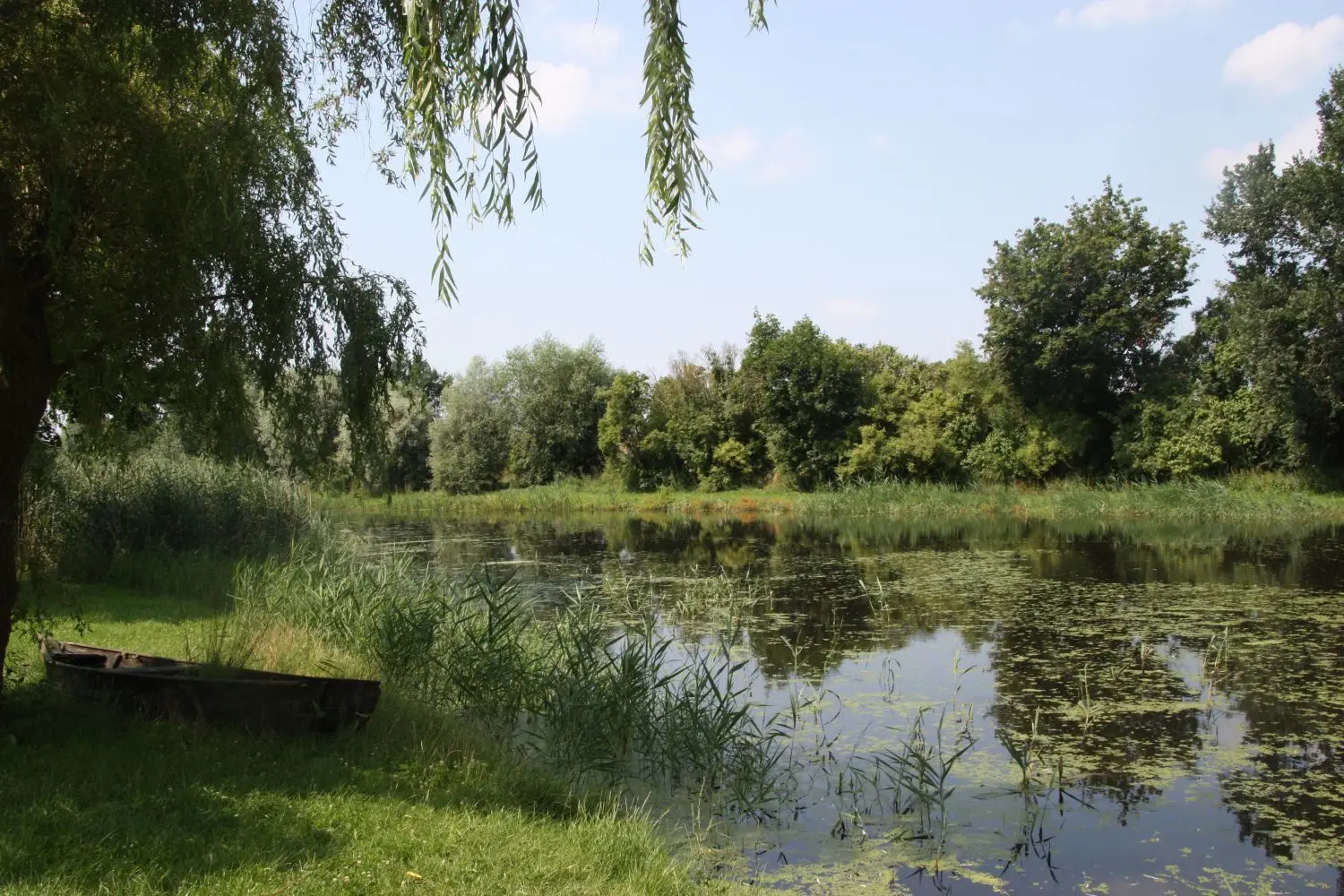 Naturidylle: Der Dorfteich in Gellmersdorf ist wieder eine Oase. Das verschlammte Wasserloch wurde renaturiert.