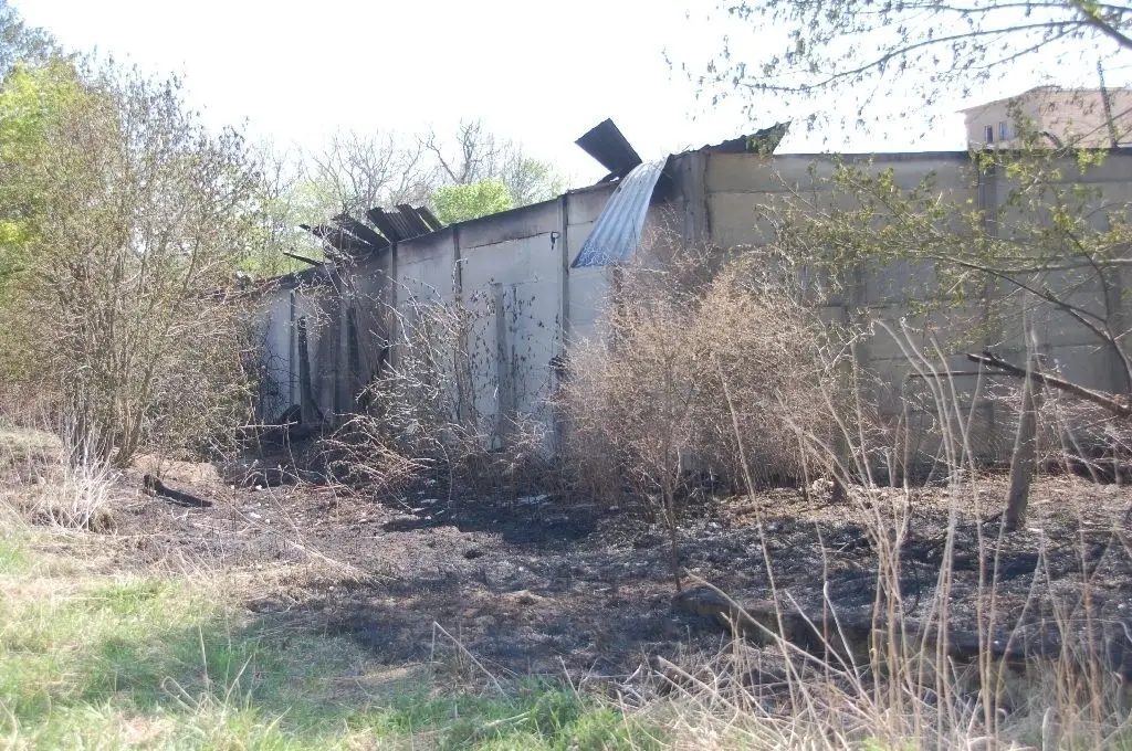 Verkohlt: Die Feuerwehr konnte verhindern, dass das Feuer auf die Vegetation übergreift.