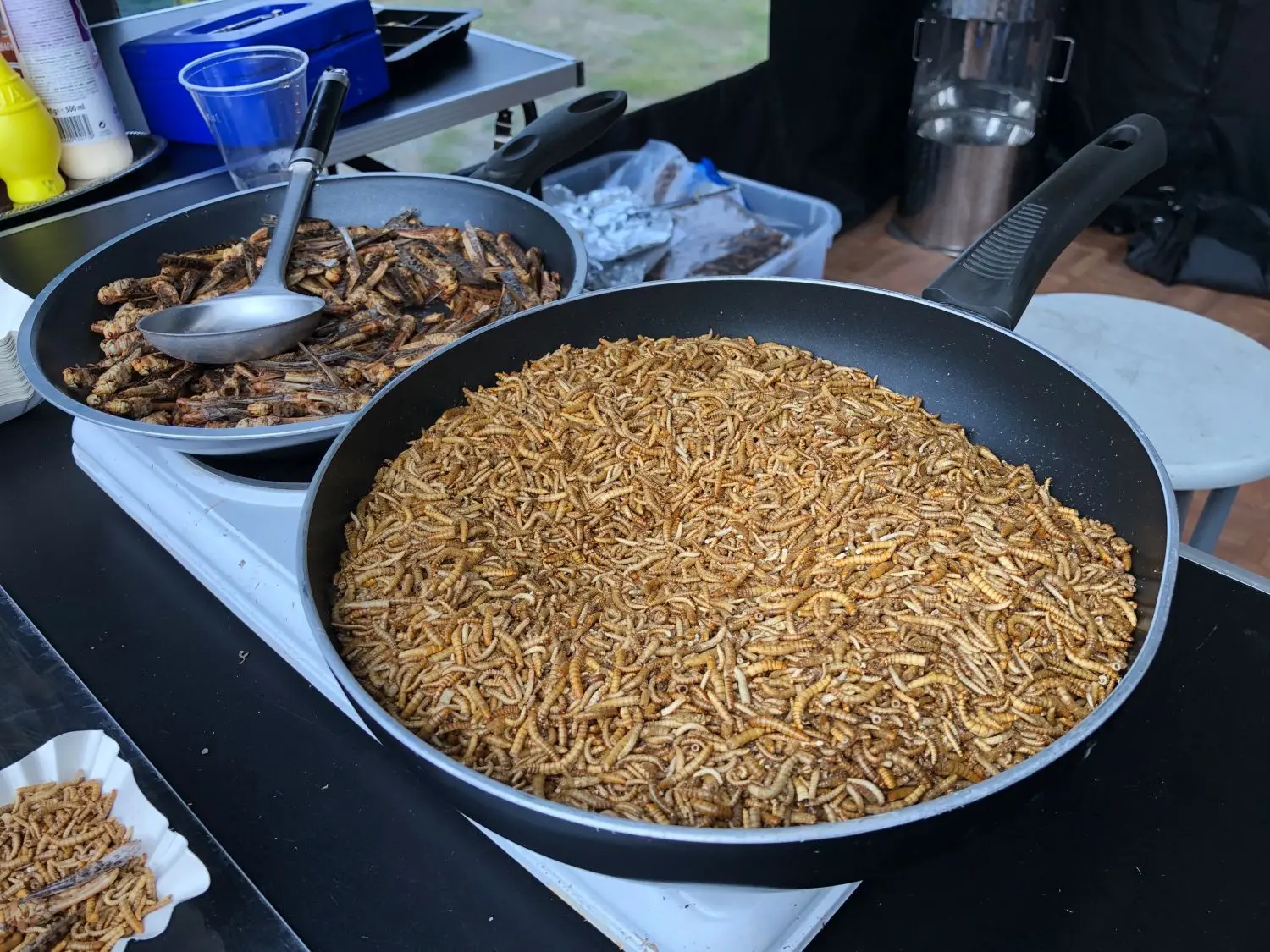 Wer es mag: Mehl- und Buffalowürmer beim ersten Streetfood-Festival in Eberswalde.