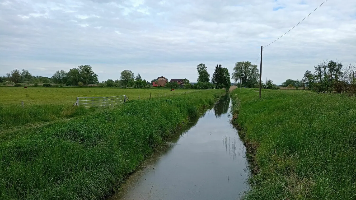 Das Schöpfwerk in Liepe sorgt für die Trockenlegung der Polderflächen. Ob das auch in Zukunft so sein wird, ist fraglich.
