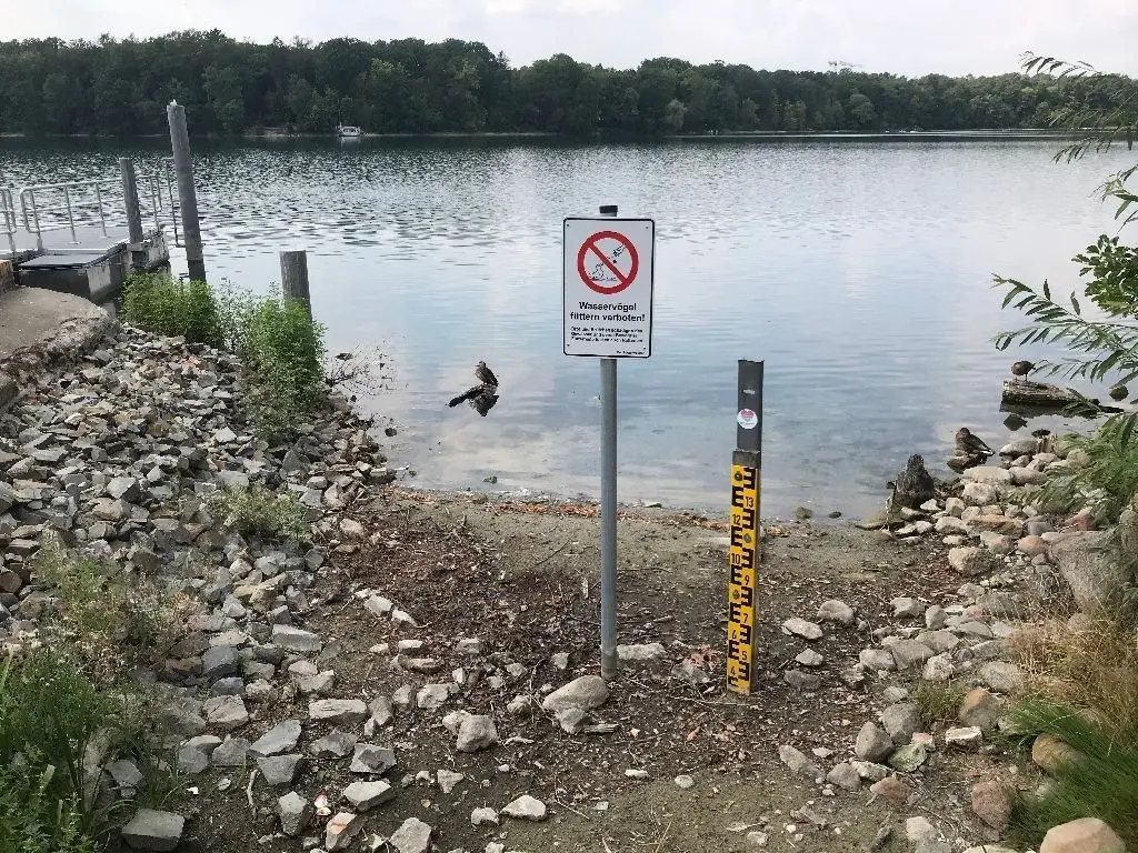Trauriger Anblick: Der Strausberger Straussee verliert immer mehr Wasser. Über die Gründe und die Lösungsansätze wird derzeit auch auf politischer Ebene viel diskutiert.