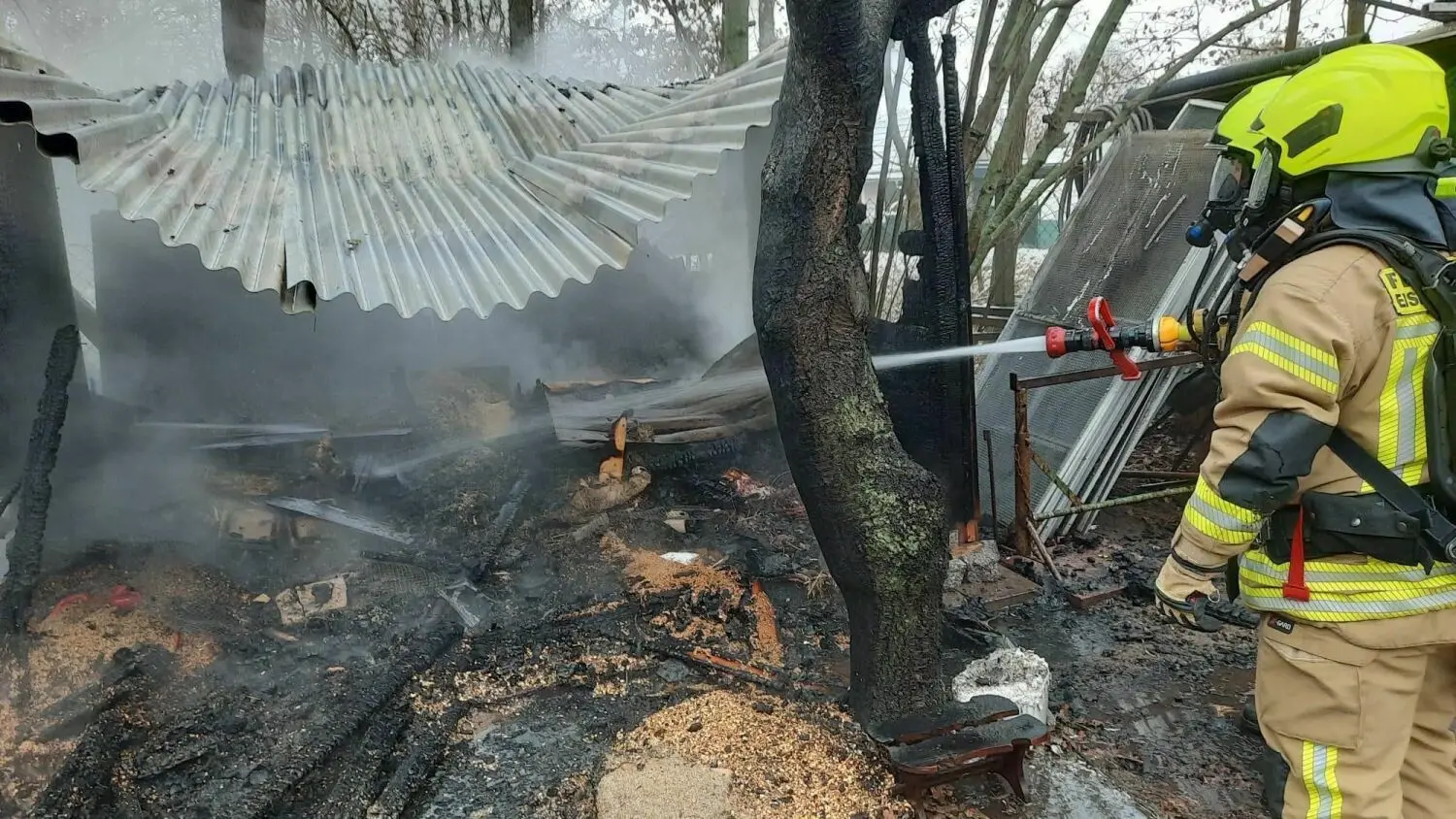 Durch das Feuer in einem Anbau eines Kleingartenbungalows wurden auch Kaninchen getötet.