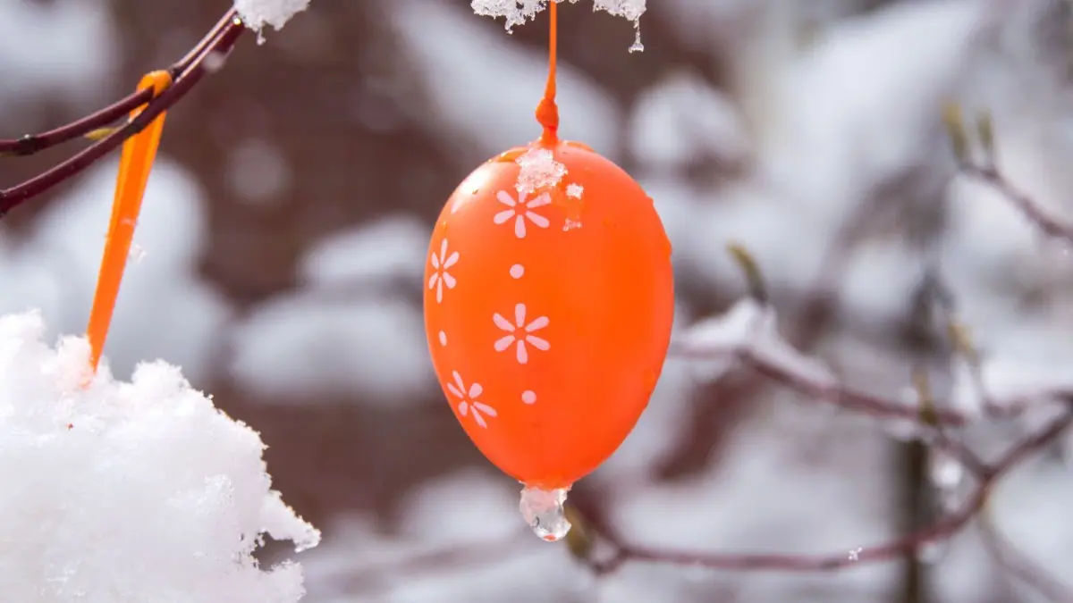 Vor dem 1. April 2022: In Hamburg hat es schon geschneit, unser Foto zeigt ein Osterei aus Plastik in einem Garten, das an einem mit Schnee überzogenen Baum hängt. Auch für Brandenburg und Sachsen wird Winter-Wetter vorhergesagt.
31.03.2022, Hamburg: Ein Osterei aus Plastik hängt in einem Garten in einem mit Schnee überzogenen Baum. Foto: Daniel Bockwoldt/dpa +++ dpa-Bildfunk +++