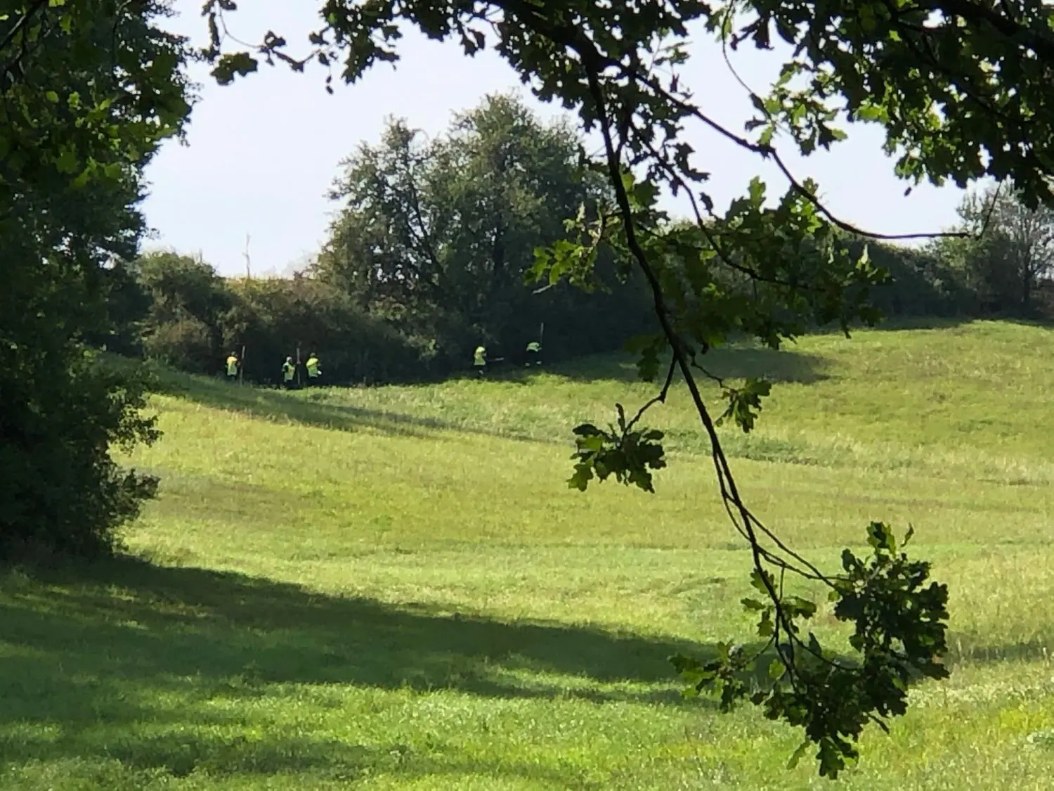 Aktion am Wochenende: THW und Jäger suchen Wildschweinkadaver in Neuzelle.