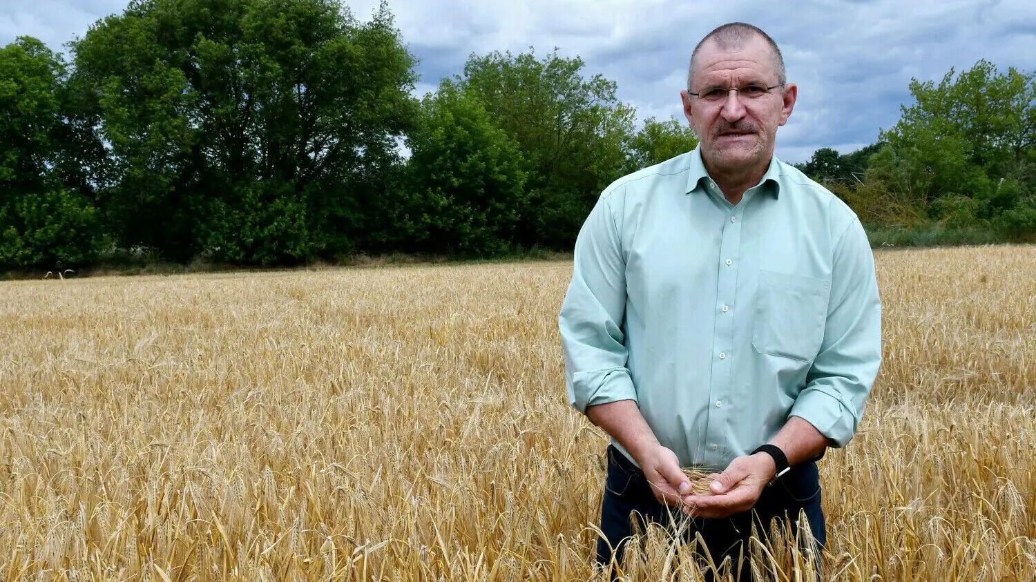 Die Wintergerste wird zuerst geerntet: Henrik Wendorff, Präsident des Landesbauernverbandes Brandenburg, fordert ein Wassermanagement im Land. Welche Kulturen mehr Wasser brauchen.