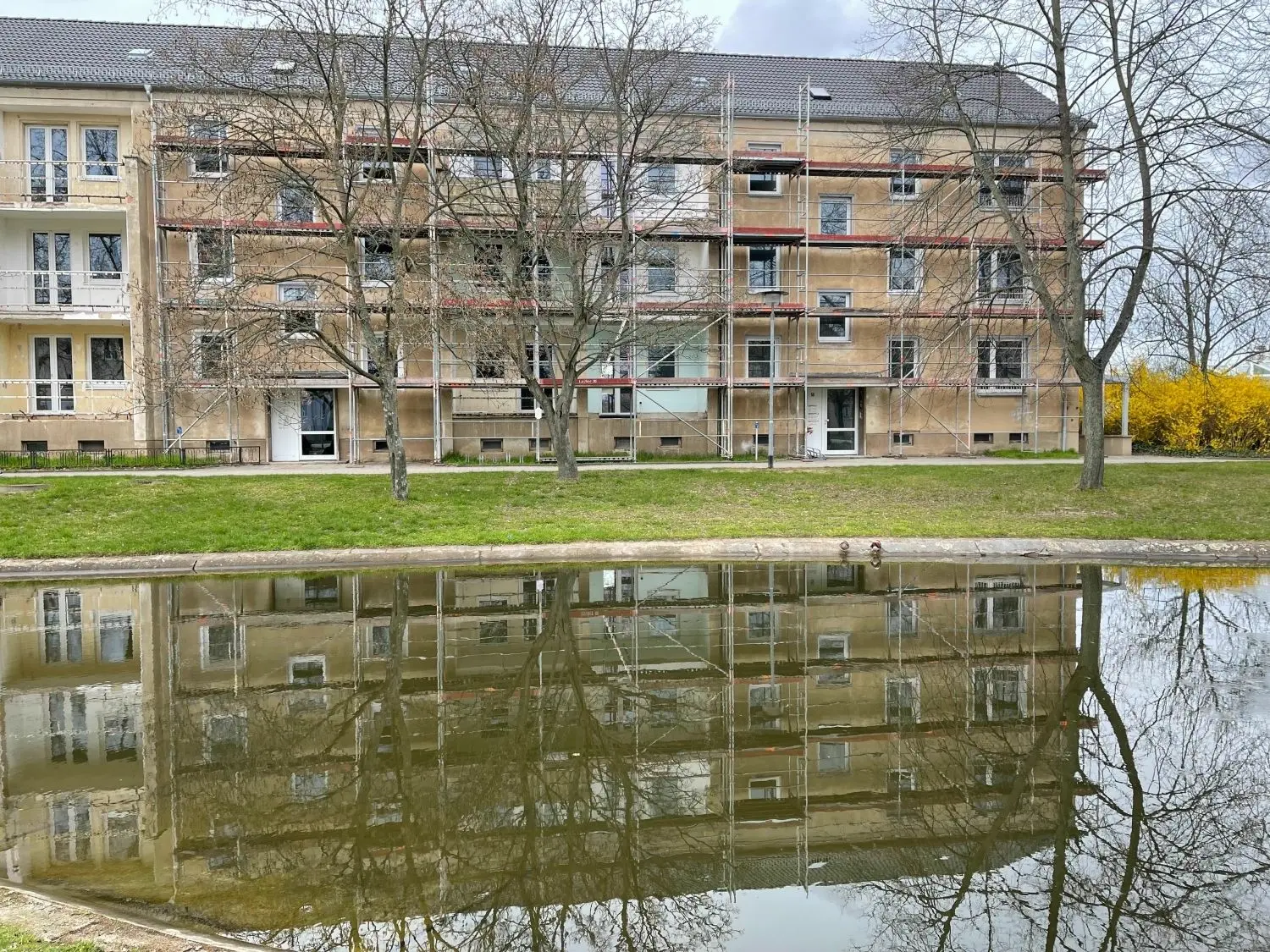 Wohnen in Eisenhüttenstadt Neuer Trend lieber große Wohnung mieten