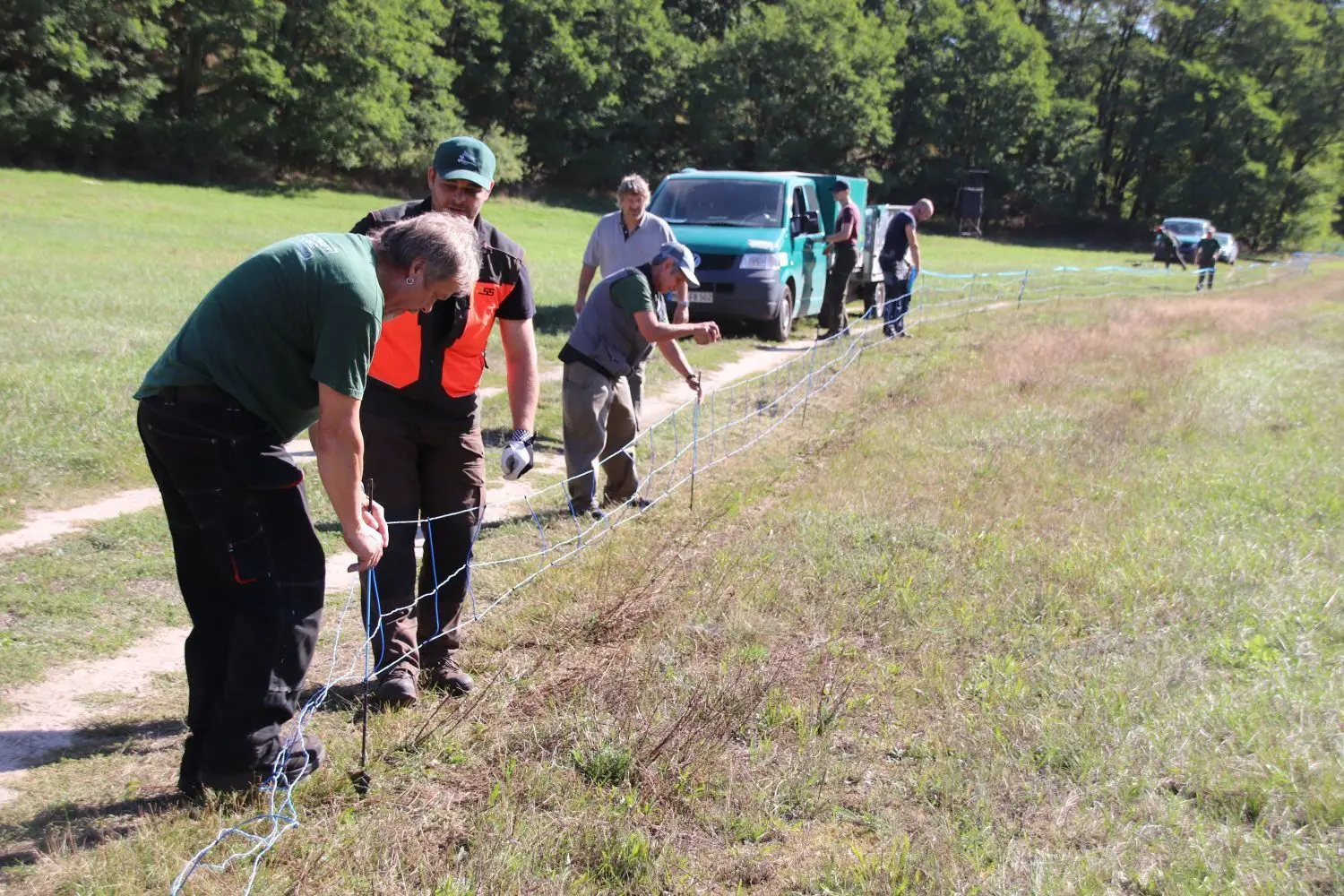 Mitarbeiter des Landesforstamtes errichten am Freitag einen Zaun wegen der Afrikanischen Schweinepest ausgehend vom Neuzeller Landweg in Richtung Lawitz.