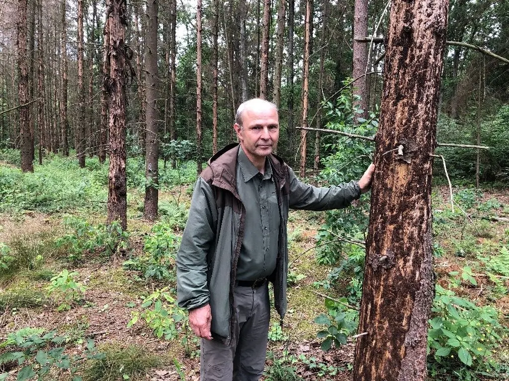 Thomas Weber, Direktor des Stadtforst Fürstenwalde