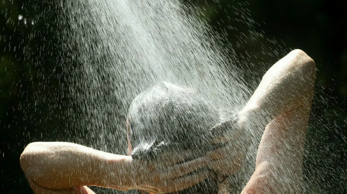 Duschen nach dem Sport: In Müllrose wurde das im November 2020 wegen zu viel Legionellen im Warmwasser untersagt. Wie ist der Stand der Dinge nach 19 Monaten Duschverbot? (Symbolbild)
08.08.2020, Berlin: Eine Frau erfrischt sich bei Temperaturen um 35 Grad Celsius unter einer Gartendusche im Bezirk Köpenick. Nach Angaben der Meteorologen werden auch in den kommenden Tagen die Temperaturen weit über der 30 Grad-Marke liegen. Foto: Wolfgang Kumm/dpa +++ dpa-Bildfunk +++