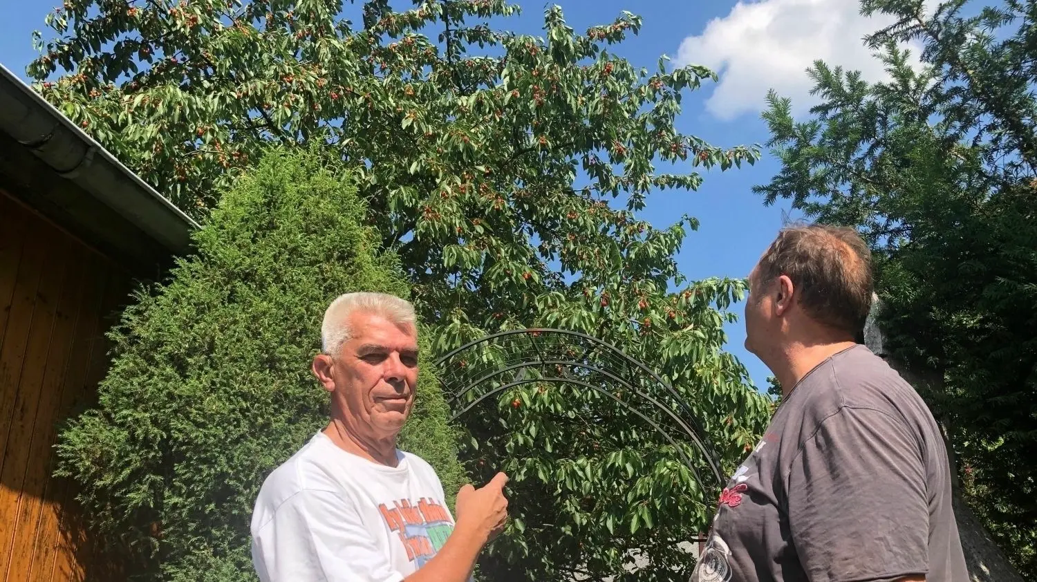 Garten in Erkner Besitzer von Kleingärten hängen nach