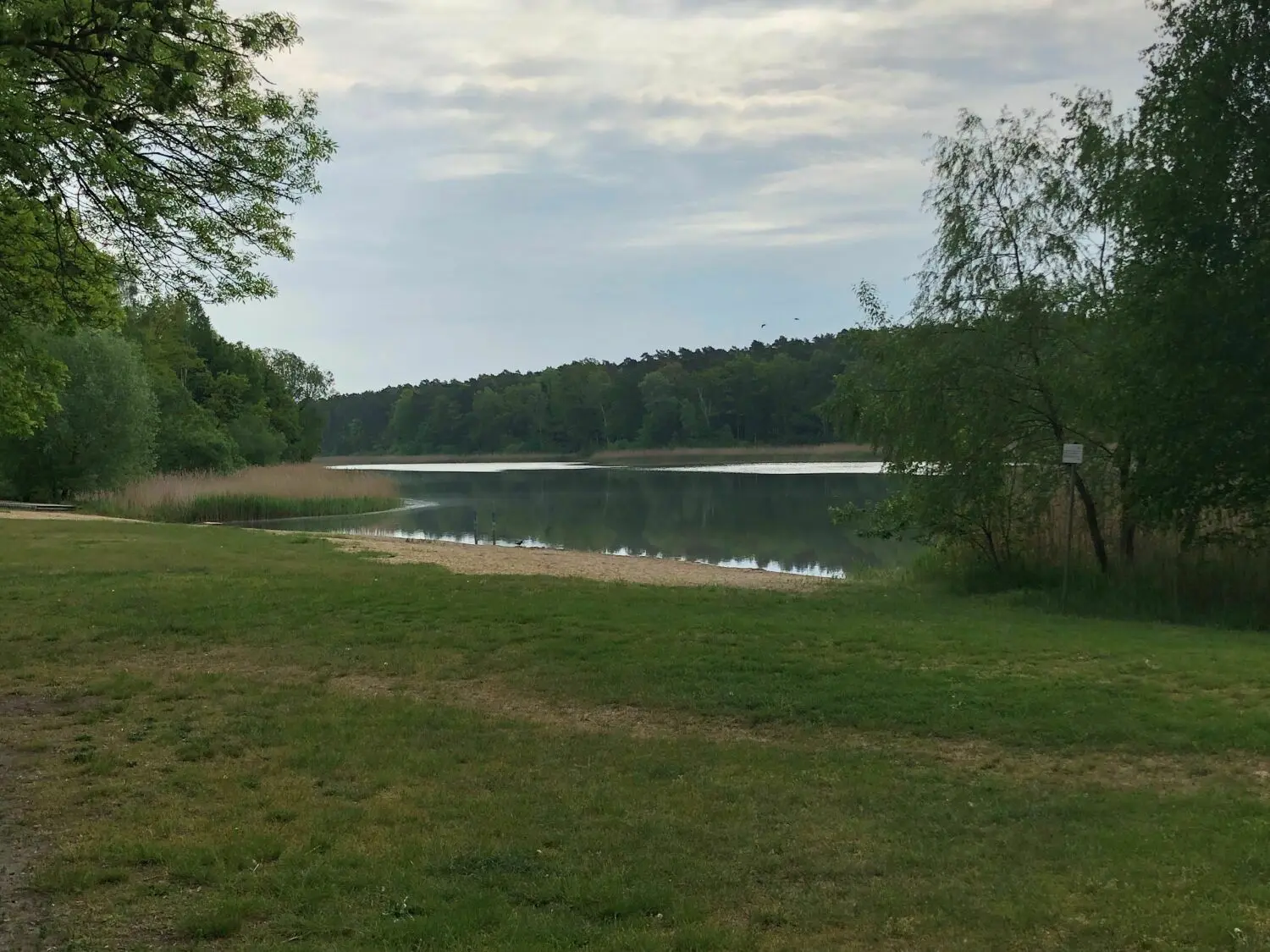 Blick über die Liegewiese auf die neu hergerichtete Badestelle am Beetzer See.
