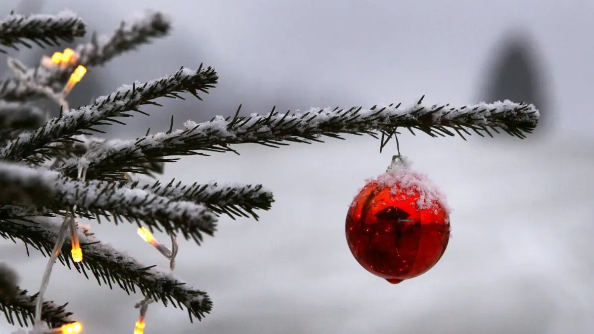 Auch das vierte Adventswochenende (17. und 18. Dezember) lockt mit etlichen vorweihnachtlichen Angeboten nach Beeskow, unter anderem der wohl kleinste Weihnachtsmarkt 2022. (Symbolbild)
ARCHIV - 08.12.2014, Bayern, Unterjoch: Ein geschmückter Christbaum steht im Garten eines Bauernhofes. Der Klimawandel schmälert in vielen Regionen Deutschlands die Aussicht auf Weiße Weihnachten. (zu dpa: «Experten: Weiße Weihnacht wegen des Klimawandels immer seltener») Foto: Karl-Josef Hildenbrand/dpa +++ dpa-Bildfunk +++